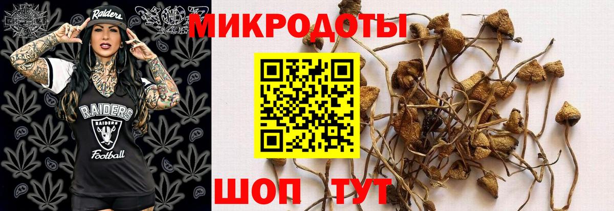 Галлюциногенные грибы Psilocybe  Псилоцибиновые грибы GOLDEN TEACHER  Вход с VPN  Александров 